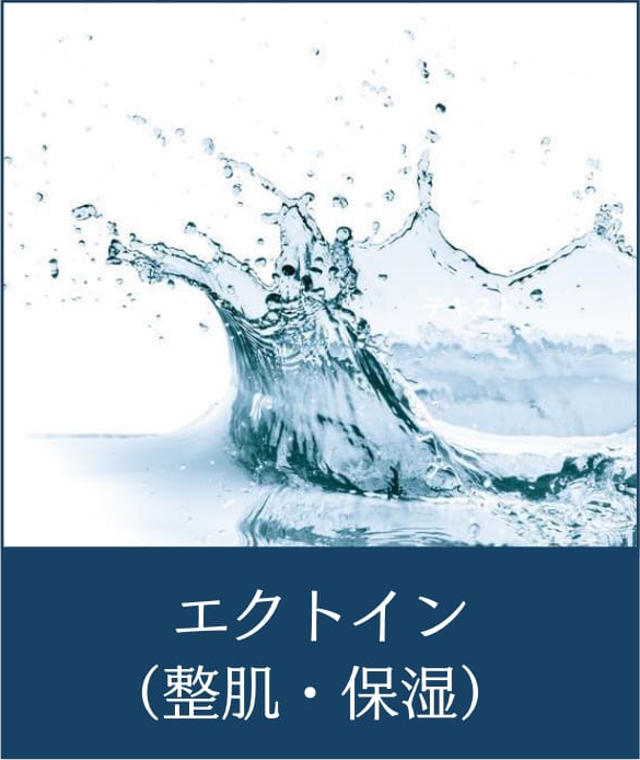 エクトイン（整肌・保湿）