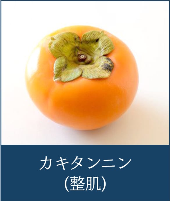 カキタンニン（整肌）